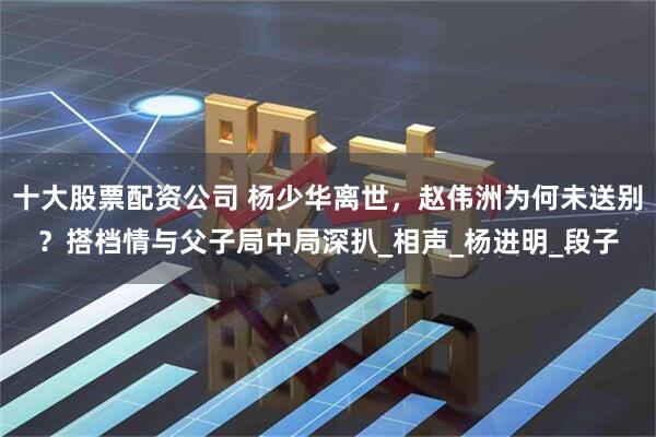 十大股票配资公司 杨少华离世，赵伟洲为何未送别？搭档情与父子局中局深扒_相声_杨进明_段子